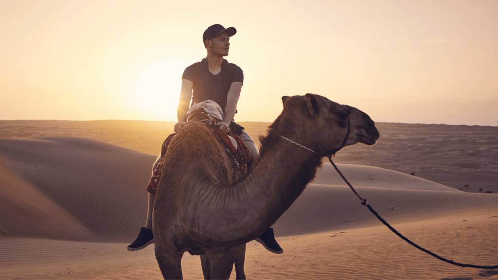 Camel riding