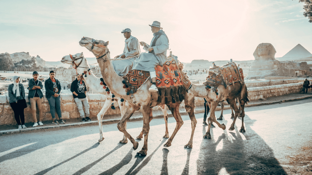 Marrakesh cascade camel ride