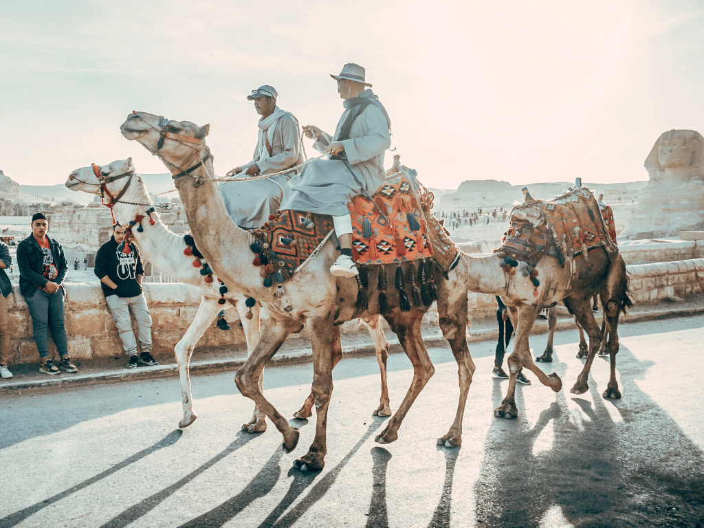 Marrakesh cascade camel ride