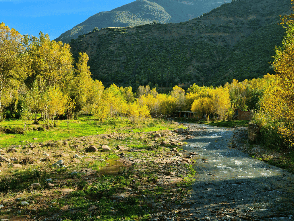 Ourika Valley