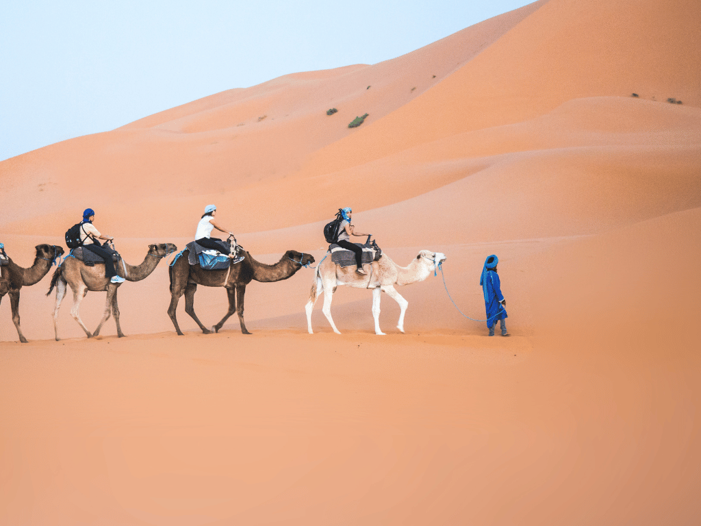 Camel Ride