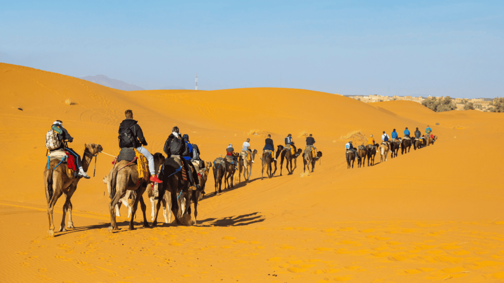 Camel Ride in Morocco