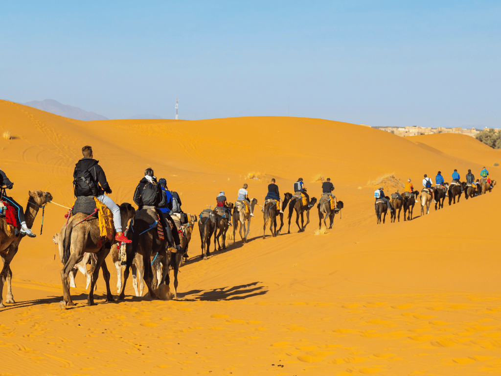 Camel Ride in Morocco