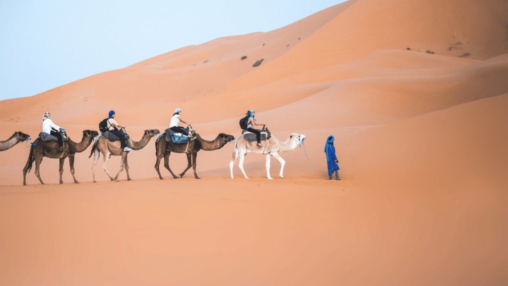 Camel ride