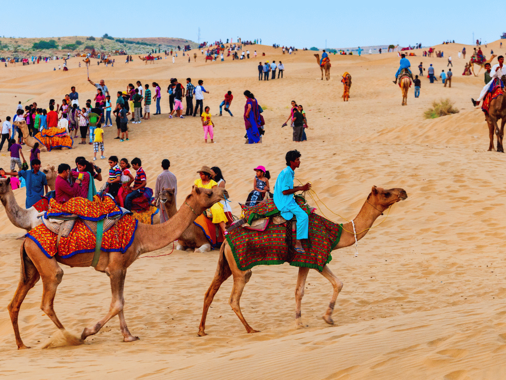 Enjoy a Camel Ride