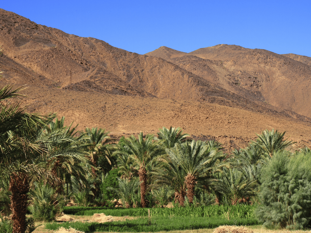 Draa Valley