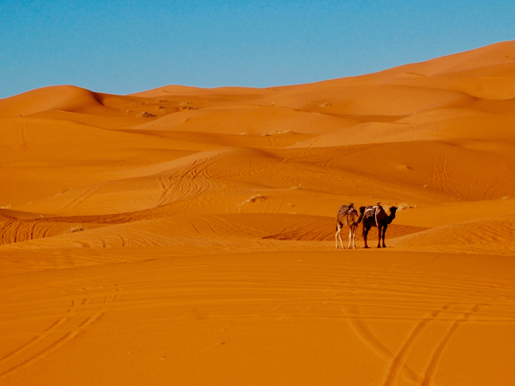 Sahara Desert