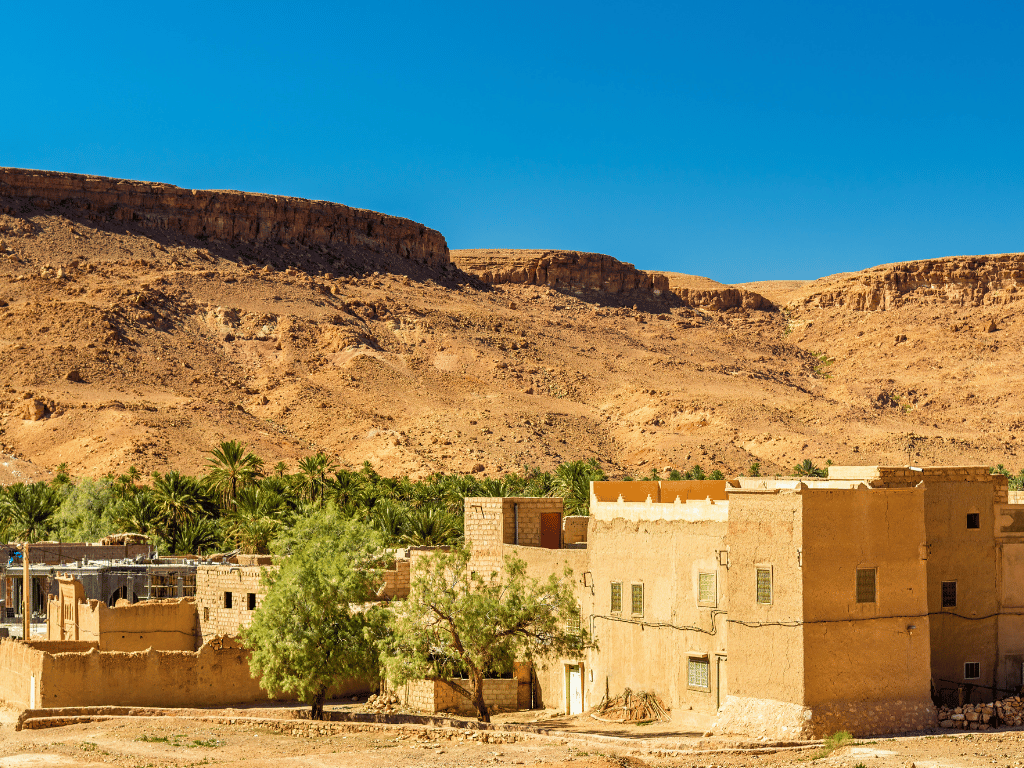 Ziz Valley Moroccan 