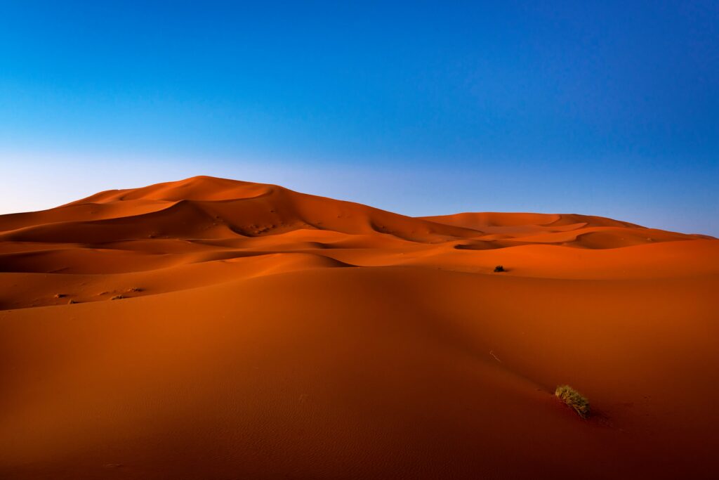 Zagora desert excursion