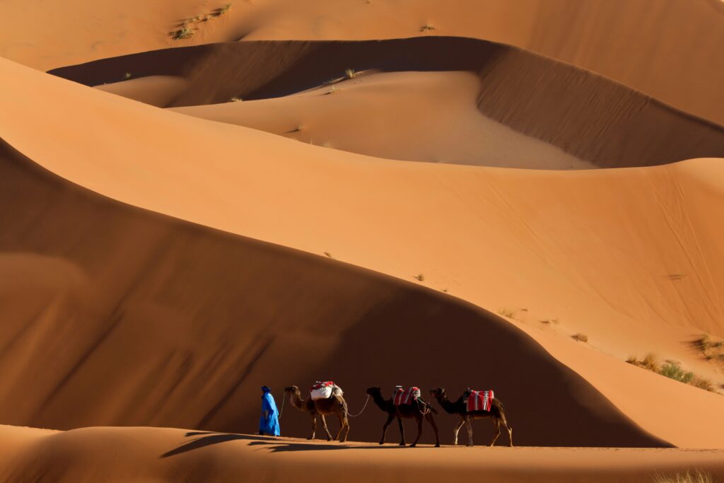 Berber camp experience