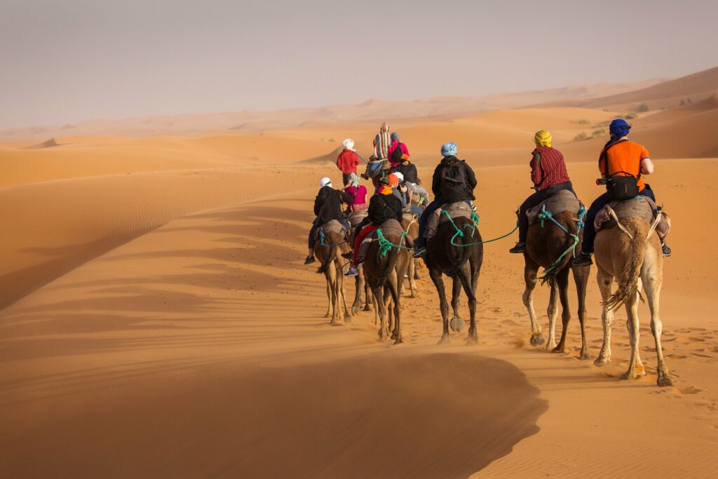 Adventure tours in the Sahara Desert