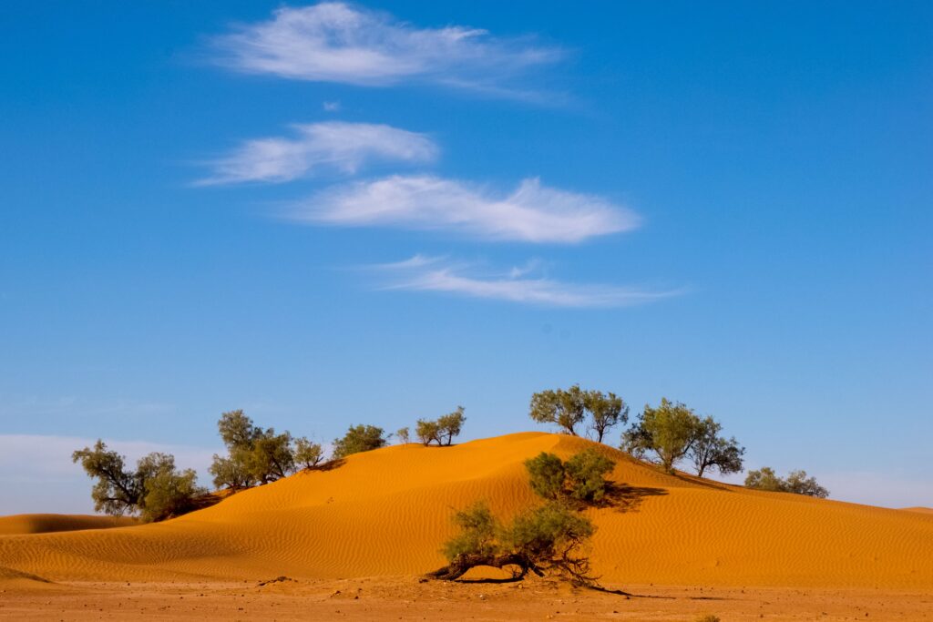 Adventure tours in the Sahara Desert