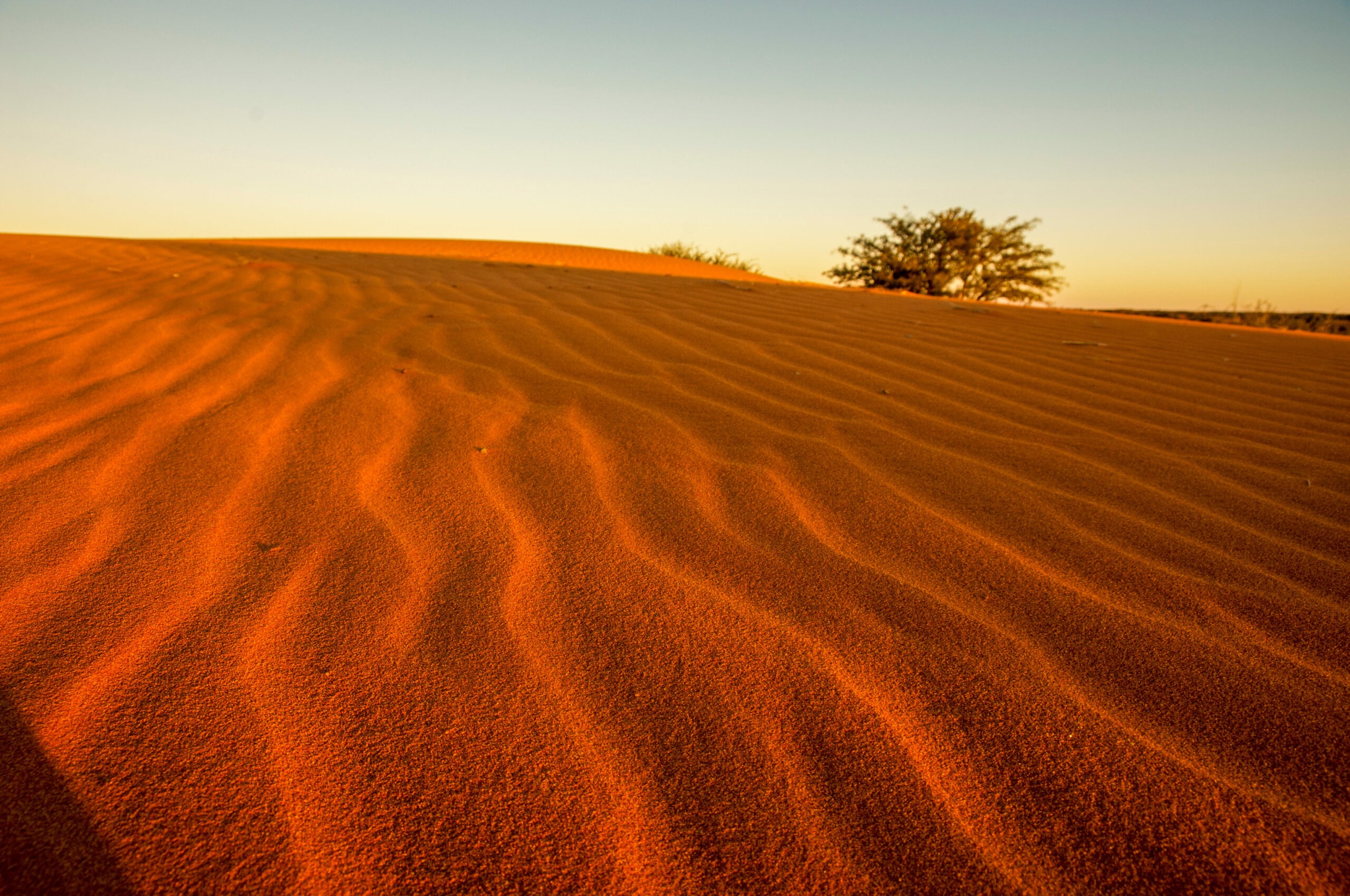 Zagora desert excursion