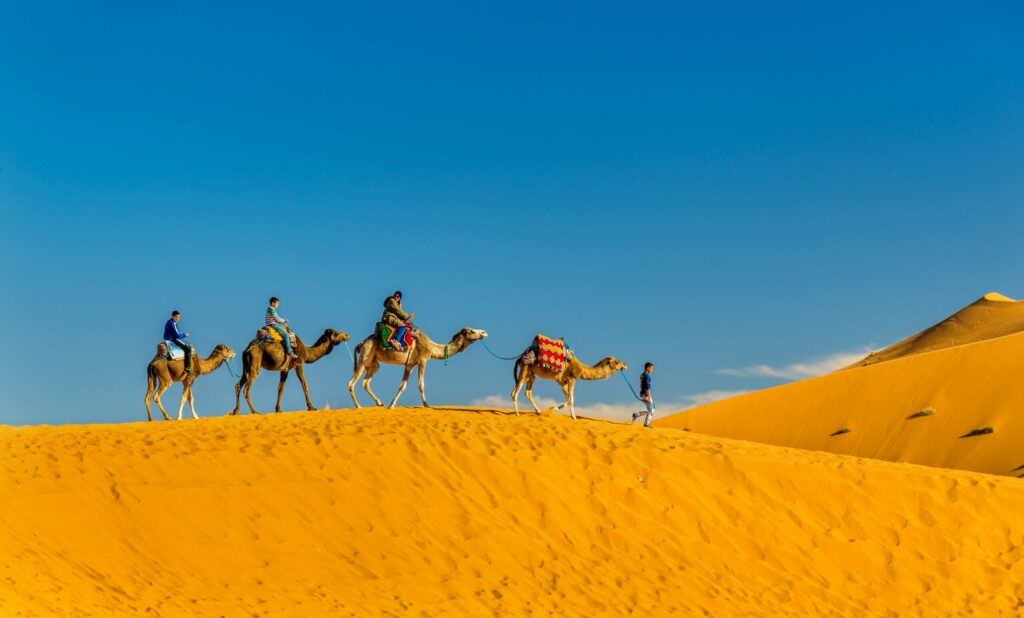 Merzouga desert activities