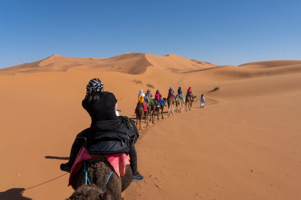 Best Moroccan camel trek experience